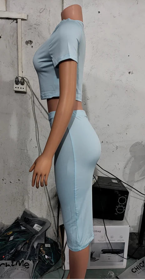 Casual 2pc Skirt & Shirt Set