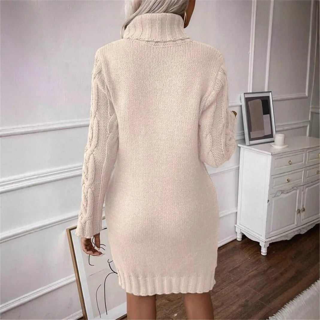 Classy Turtle Neck Sweater Dress