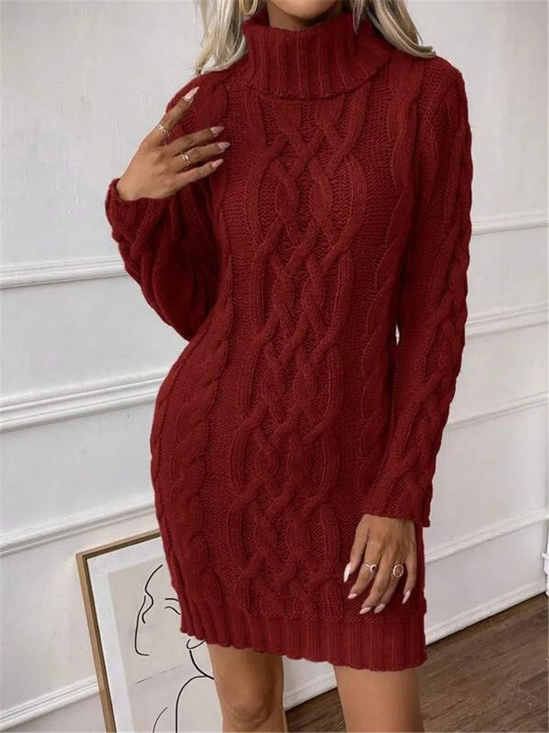 Classy Turtle Neck Sweater Dress