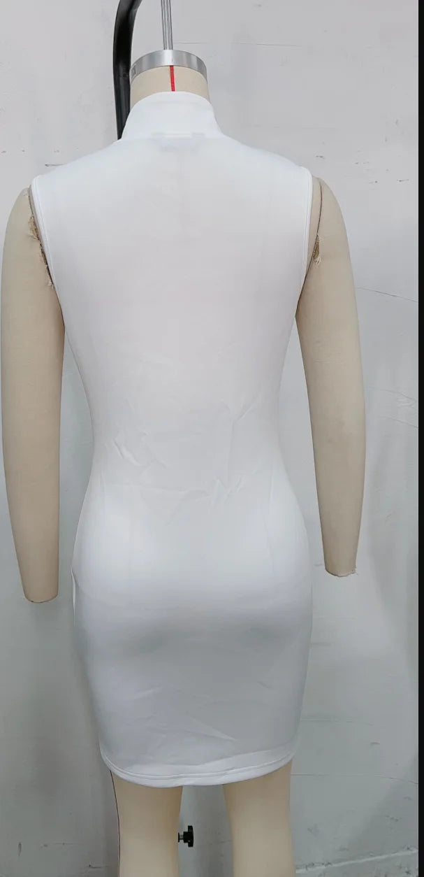 Elegant Zipper Dress